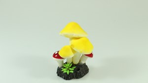 图片 1089 五彩蘑菇