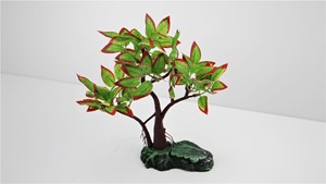 图片 1105 紅綠楓
