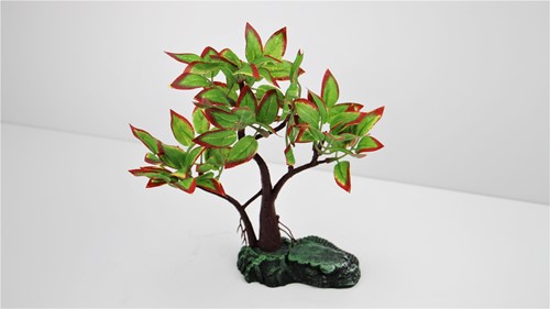 图片 1105 紅綠楓
