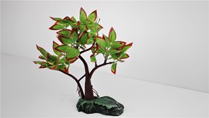 图片 1105 紅綠楓
