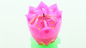 Picture of 033E Birthday  light